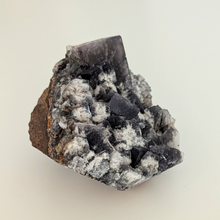 Indlæs billede til gallerivisning Colorshift fluorit med galena