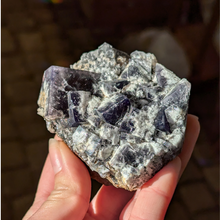 Indlæs billede til gallerivisning Colorshift fluorit med galena