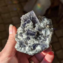 Indlæs billede til gallerivisning Colorshift fluorit med galena