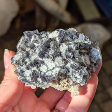 Indlæs billede til gallerivisning Colorshift fluorit med kvarts