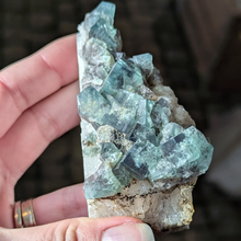 Indlæs billede til gallerivisning Colorshift fluorit med kvarts og galena