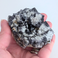 Indlæs billede til gallerivisning Colorshift fluorit med kvarts