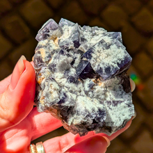 Indlæs billede til gallerivisning Colorshift fluorit med kvarts