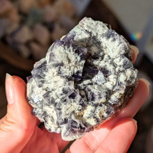 Indlæs billede til gallerivisning Colorshift fluorit med kvarts