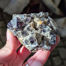 Indlæs billede til gallerivisning Colorshift fluorit med kvarts og galena