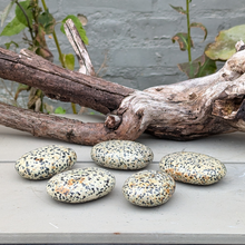 Load image into Gallery viewer, Dalmatiner jaspis palmstones