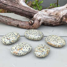 Load image into Gallery viewer, Dalmatiner jaspis palmstones