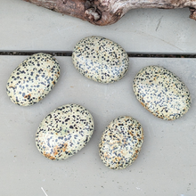 Load image into Gallery viewer, Dalmatiner jaspis palmstones