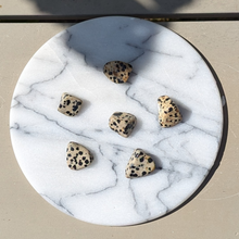 Load image into Gallery viewer, Dalmatiner jaspis lommesten