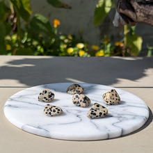 Load image into Gallery viewer, Dalmatiner jaspis lommesten