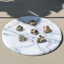 Load image into Gallery viewer, Dalmatiner jaspis lommesten