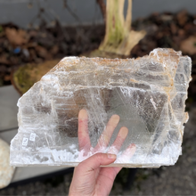 Indlæs billede til gallerivisning Englevinge selenit plade