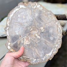 Load image into Gallery viewer, Forstenet træ