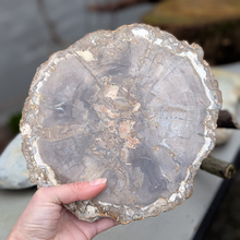 Load image into Gallery viewer, Forstenet træ