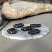 Load image into Gallery viewer, Gabbro nussesten