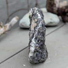 Indlæs billede til gallerivisning Galena med pyrit og calcit