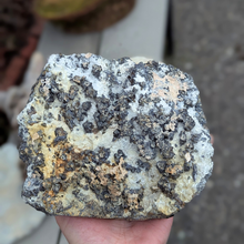 Indlæs billede til gallerivisning Galena med pyrit og calcit