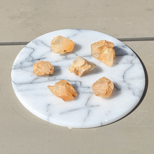 Load image into Gallery viewer, Hundetandscalcit lommesten