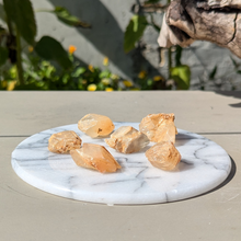 Load image into Gallery viewer, Hundetandscalcit lommesten