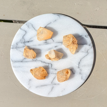 Load image into Gallery viewer, Hundetandscalcit lommesten