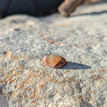 Indlæs billede til gallerivisning Ild opal