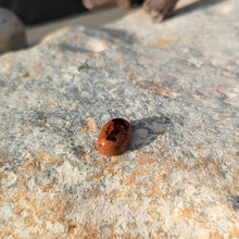 Indlæs billede til gallerivisning Ild opal