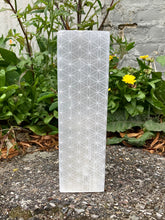 Indlæs billede til gallerivisning Selenit Lampe