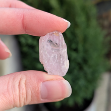 Indlæs billede til gallerivisning Kunzit