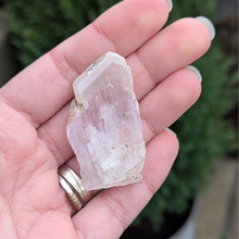 Indlæs billede til gallerivisning Kunzit