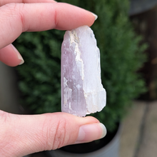 Indlæs billede til gallerivisning Kunzit