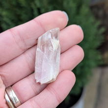 Indlæs billede til gallerivisning Kunzit