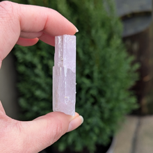 Indlæs billede til gallerivisning Kunzit