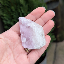 Indlæs billede til gallerivisning Kunzit