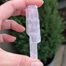 Indlæs billede til gallerivisning Kunzit