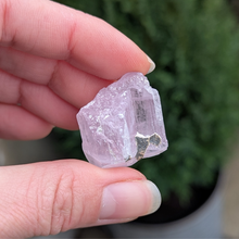 Indlæs billede til gallerivisning Kunzit