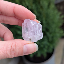 Indlæs billede til gallerivisning Kunzit