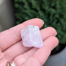 Indlæs billede til gallerivisning Kunzit