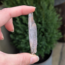 Load image into Gallery viewer, Kunzit