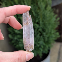 Load image into Gallery viewer, Kunzit