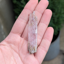 Load image into Gallery viewer, Kunzit