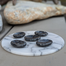 Load image into Gallery viewer, Larvikit nussesten