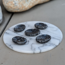 Load image into Gallery viewer, Larvikit nussesten