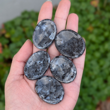 Load image into Gallery viewer, Larvikit nussesten