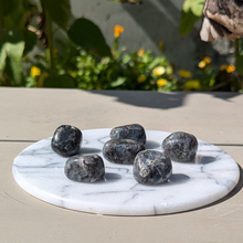 Load image into Gallery viewer, Larvikit lommesten