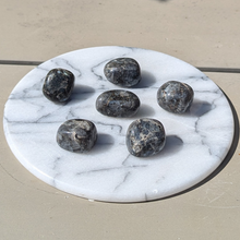 Load image into Gallery viewer, Larvikit lommesten