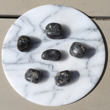 Load image into Gallery viewer, Larvikit lommesten