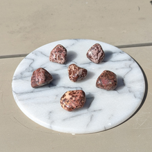 Indlæs billede til gallerivisning Leopard jaspis lommesten