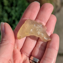 Indlæs billede til gallerivisning Libysk glas