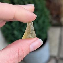 Indlæs billede til gallerivisning Libysk glas