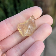 Indlæs billede til gallerivisning Libysk glas